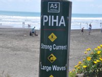 DSC_1307 Piha Beach (Piha, New Zealand)